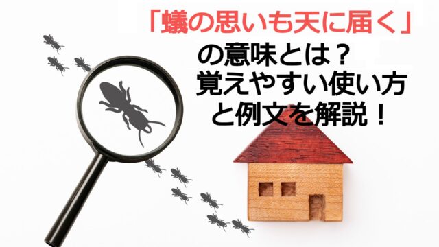 蟻の思いも天に届く の意味とは 覚えやすい使い方と例文を解説 ことわざのナルゾウ