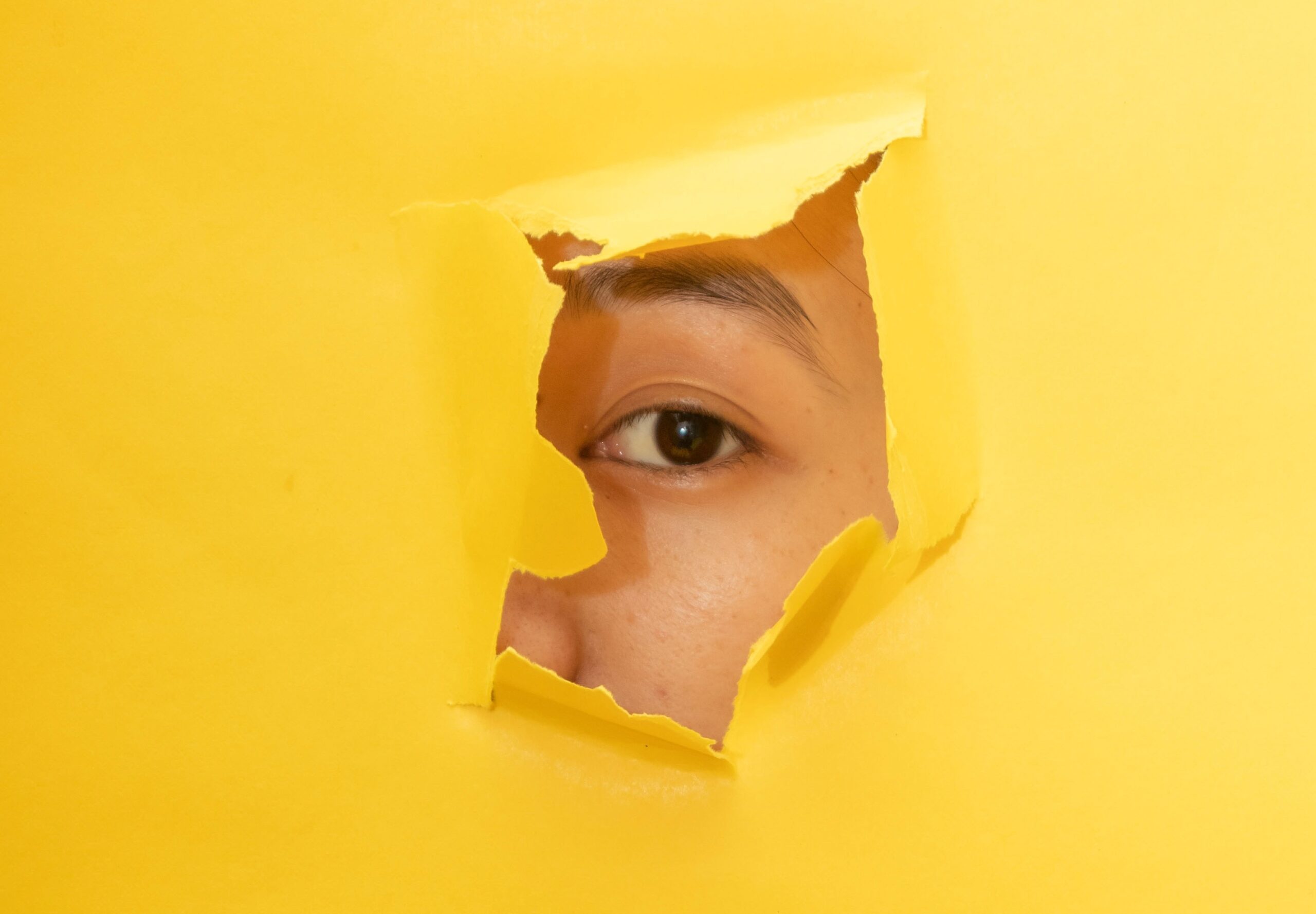 穴があったら入りたい の意味とは ことわざの使い方と例文を解説 ことわざのナルゾウ