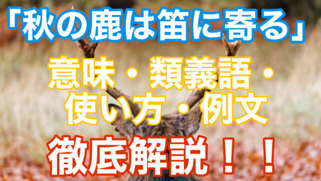 秋の鹿は笛に寄る とはどんな意味 類義語 使い方 例文を徹底解説します ことわざのナルゾウ