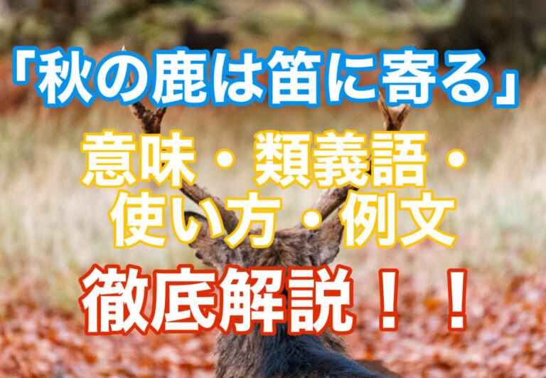 「秋の鹿は笛に寄る」とはどんな意味？類義語・使い方・例文を徹底解説します！ | ことわざのナルゾウ