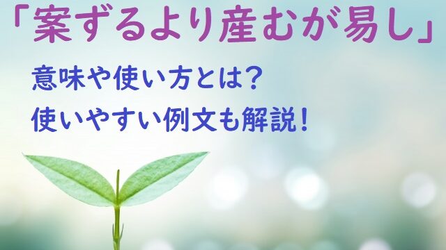 案ずるより産むが易し 意味や使い方とは 使いやすい例文も解説 ことわざのナルゾウ