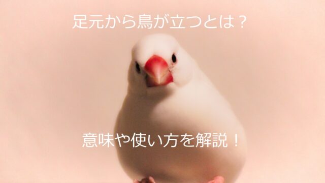 足元から鳥が立つ とは 意味 わかりやすい使い方と例文も解説 ことわざのナルゾウ