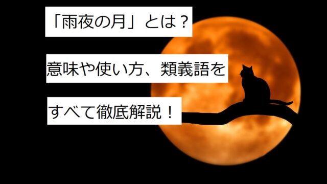 雨夜の月 とは 意味や使い方 類義語まで全て徹底解説 ことわざのナルゾウ