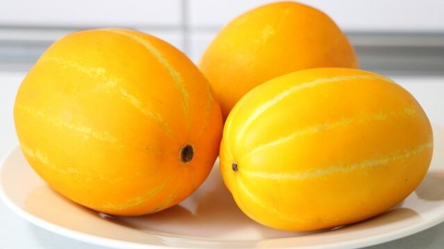 瓜二つ うりふたつ の意味やことわざの使い方を徹底解説 ことわざのナルゾウ