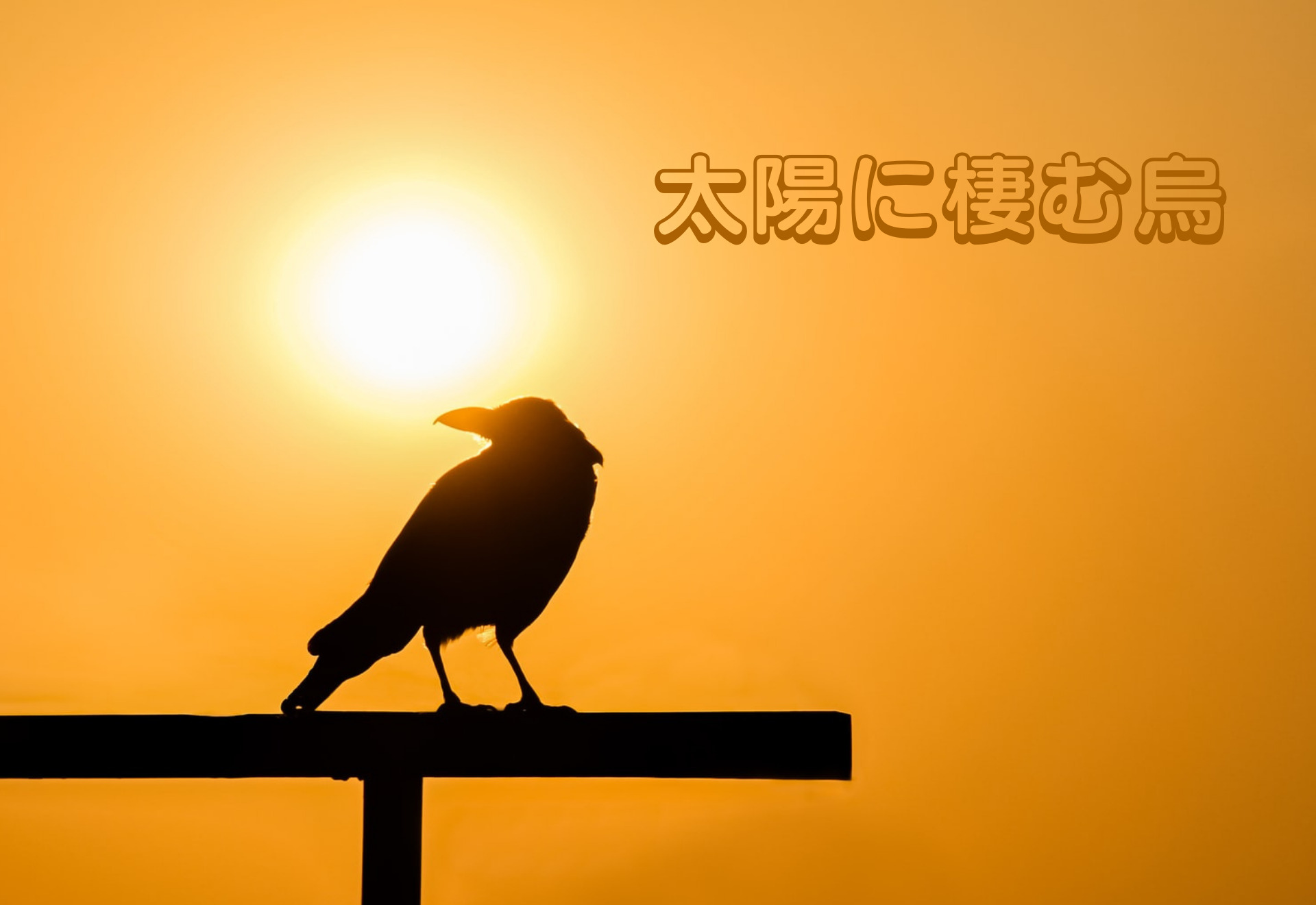 烏兎匆匆 の意味とは 使い方や例文 類義語などを解説 ことわざのナルゾウ