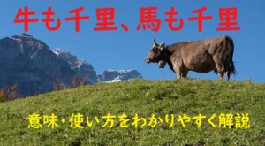 馬が合う の意味とは 使い方や例文 類義語を解説します ことわざのナルゾウ