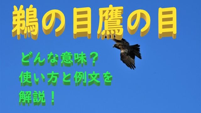 鵜の目鷹の目 うのめたかのめ の意味とは わかりやすい使い方と例文を解説 ことわざのナルゾウ