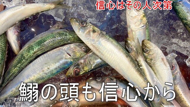 鰯の頭も信心から いわしのあたまもしんじんから の意味と使い方とは 例文もご紹介 ことわざのナルゾウ