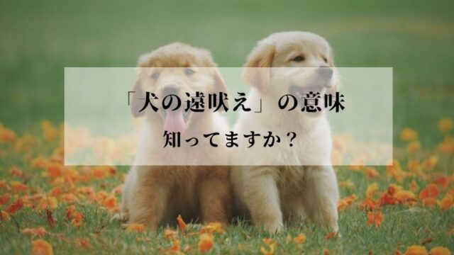 犬の遠吠え いぬのとおぼえ とは 意味やことわざの使い方など徹底解説 ことわざのナルゾウ