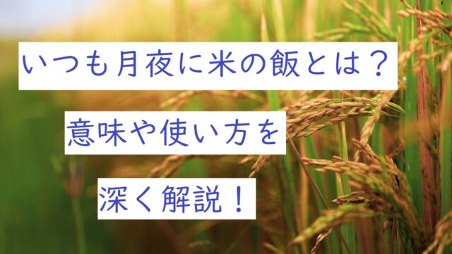 いつも月夜に米の飯 とは 意味や使い方など深く解説 ことわざのナルゾウ