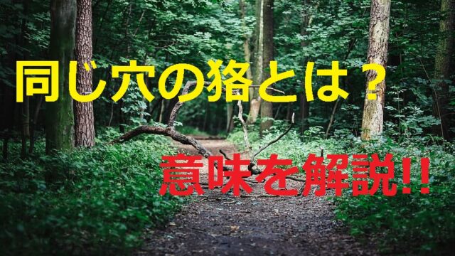 同じ穴の狢 おなじあなのむじな とは ことわざの意味や使い方 例文 ことわざのナルゾウ