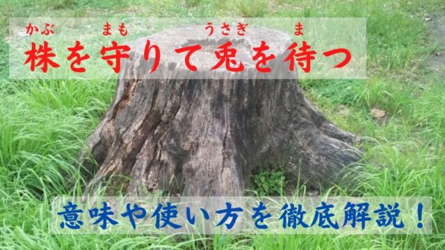 株を守りて兎を待つ の意味とは 類義語や対義語 使い方を詳しく解説 ことわざのナルゾウ