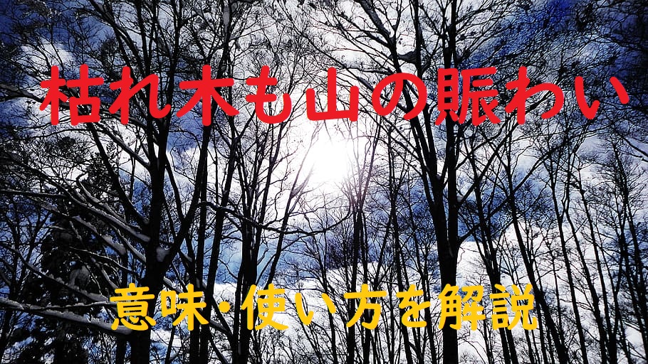 枯れ木も山の賑わい かれきもやまのにぎわい の意味とは わかりやすい使い方と例文を解説 ことわざのナルゾウ