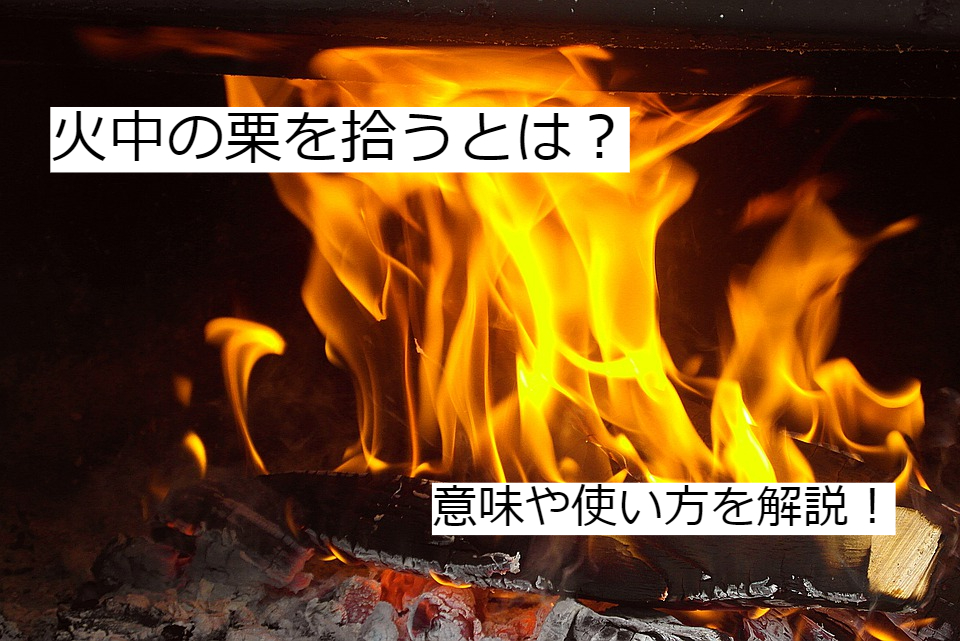 火中の栗を拾うとは 意味 使い方から類義語までわかりやすく解説 ことわざのナルゾウ