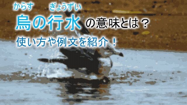 烏の行水 からすのぎょうずい の意味とは 使い方やことわざの例文を紹介 ことわざのナルゾウ