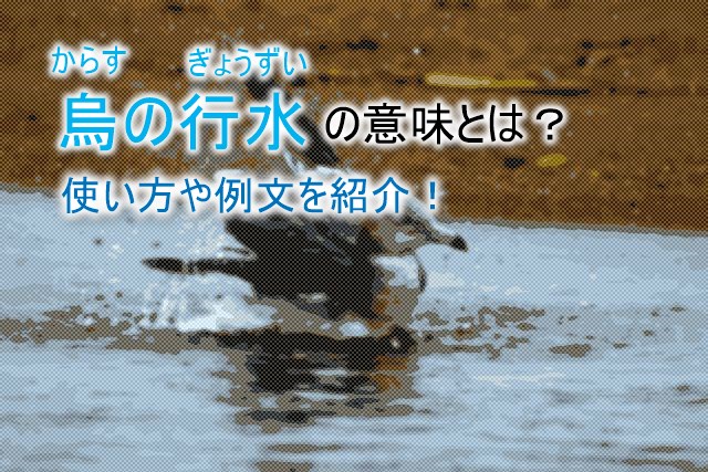 烏の行水 からすのぎょうずい の意味とは 使い方やことわざの例文を紹介 ことわざのナルゾウ