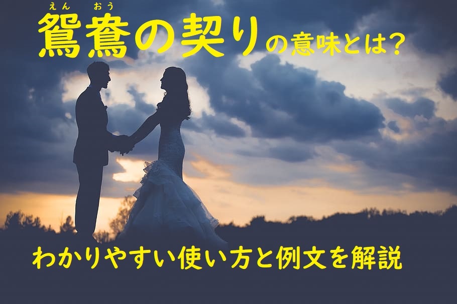 鴛鴦の契り えんおうのちぎり の意味とは わかりやすい使い方と例文を解説 ことわざのナルゾウ