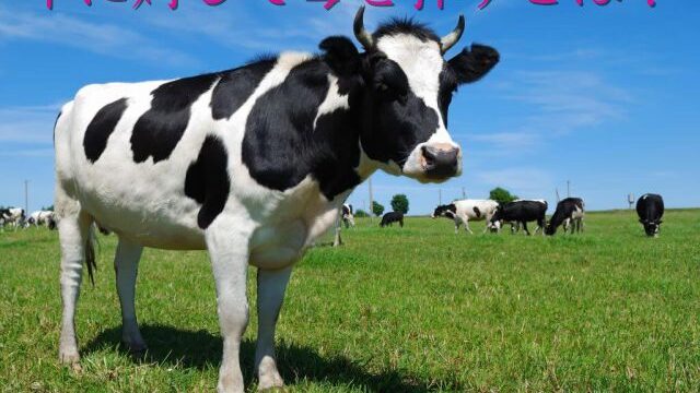 牛に対して琴を弾ず うしにたいしてことをだんず の意味とは 使い方や例文を紹介 ことわざのナルゾウ