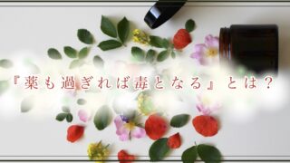 老いたる馬は道を忘れず とは 意味や類義語 使い方を分かりやすく徹底解説 ことわざのナルゾウ