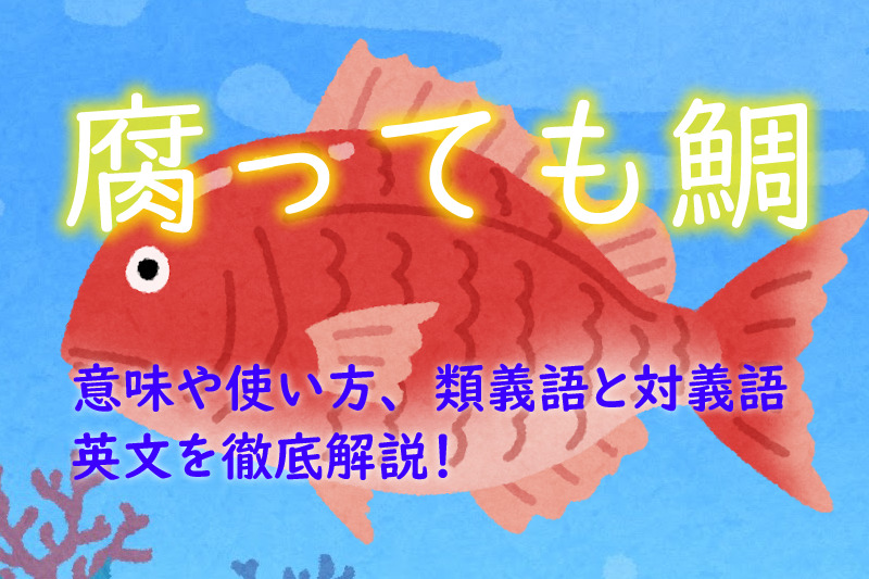 腐っても鯛とは 意味や使い方 類義語と対義語 英文を徹底解説 ことわざのナルゾウ