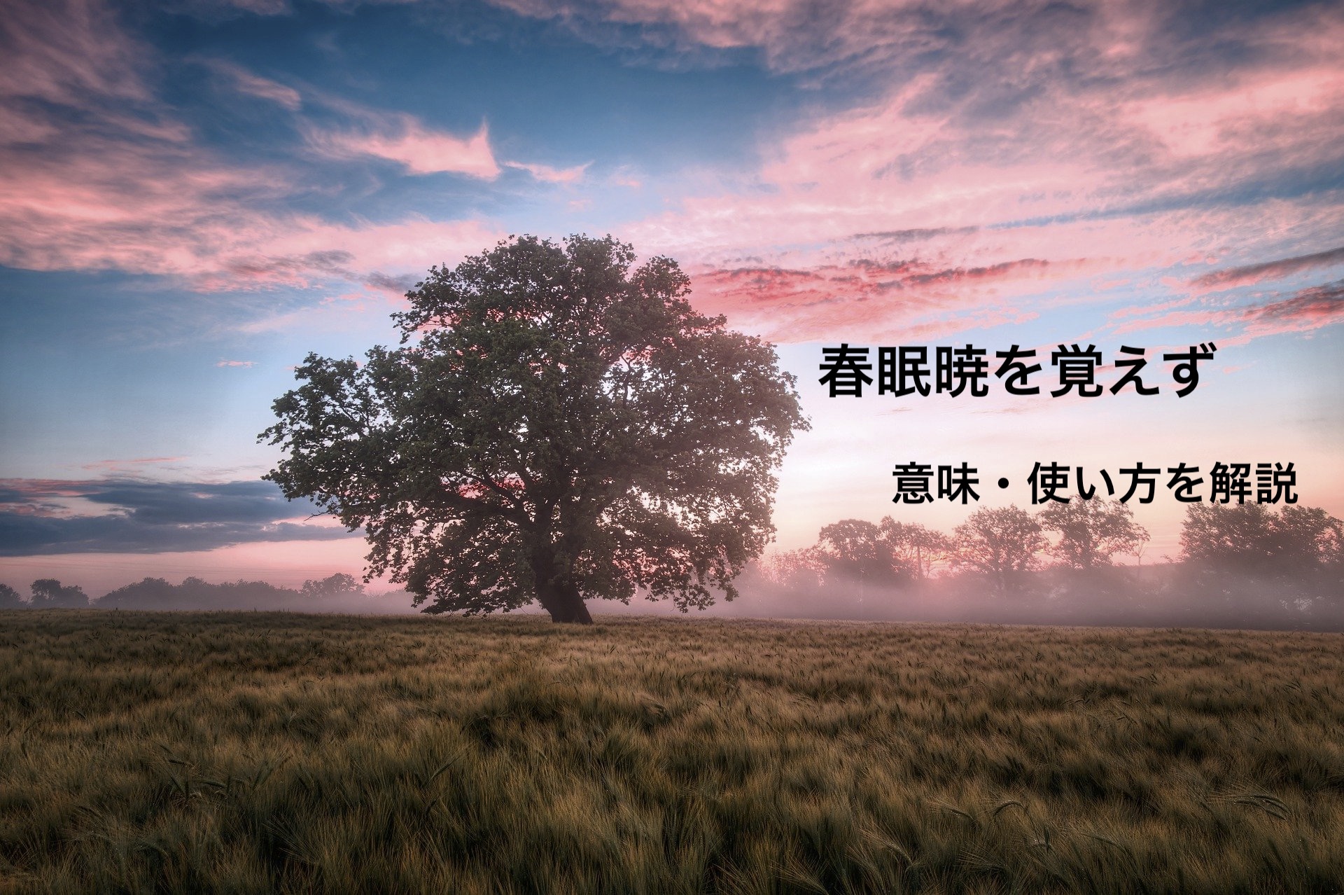 春眠暁を覚えず しゅんみんあかつきをおぼえず の意味とは 使い方や例文を解説 ことわざのナルゾウ