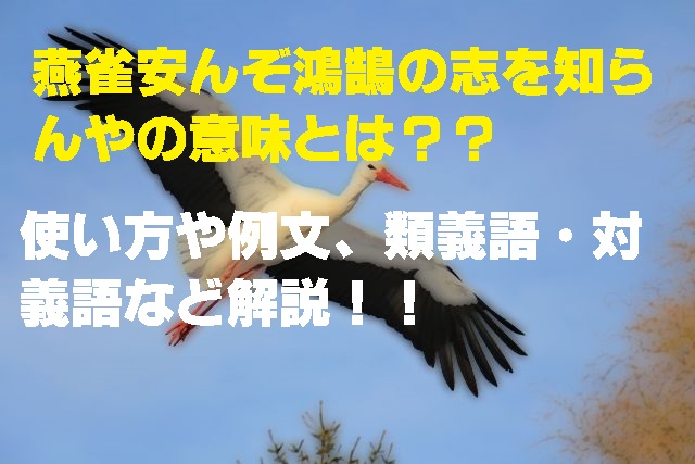 燕雀安んぞ鴻鵠の志を知らんや の意味とは 使い方や例文 類義語まで解説 ことわざのナルゾウ