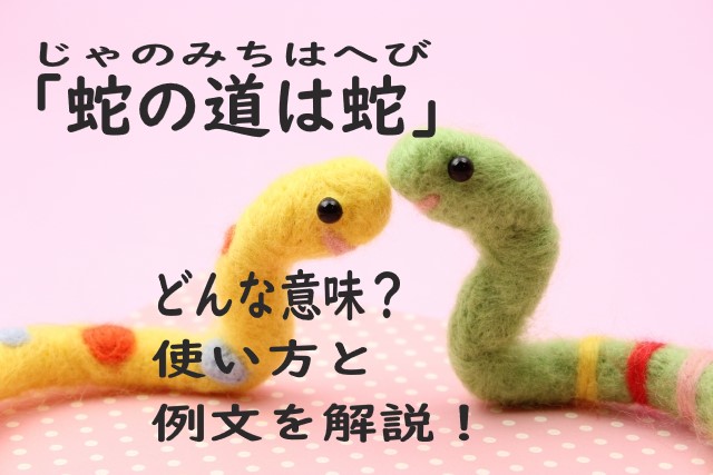 蛇の道は蛇