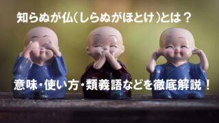 馬の耳に念仏 の意味とは 使い方 例文 類義語などを詳しく解説 ことわざのナルゾウ