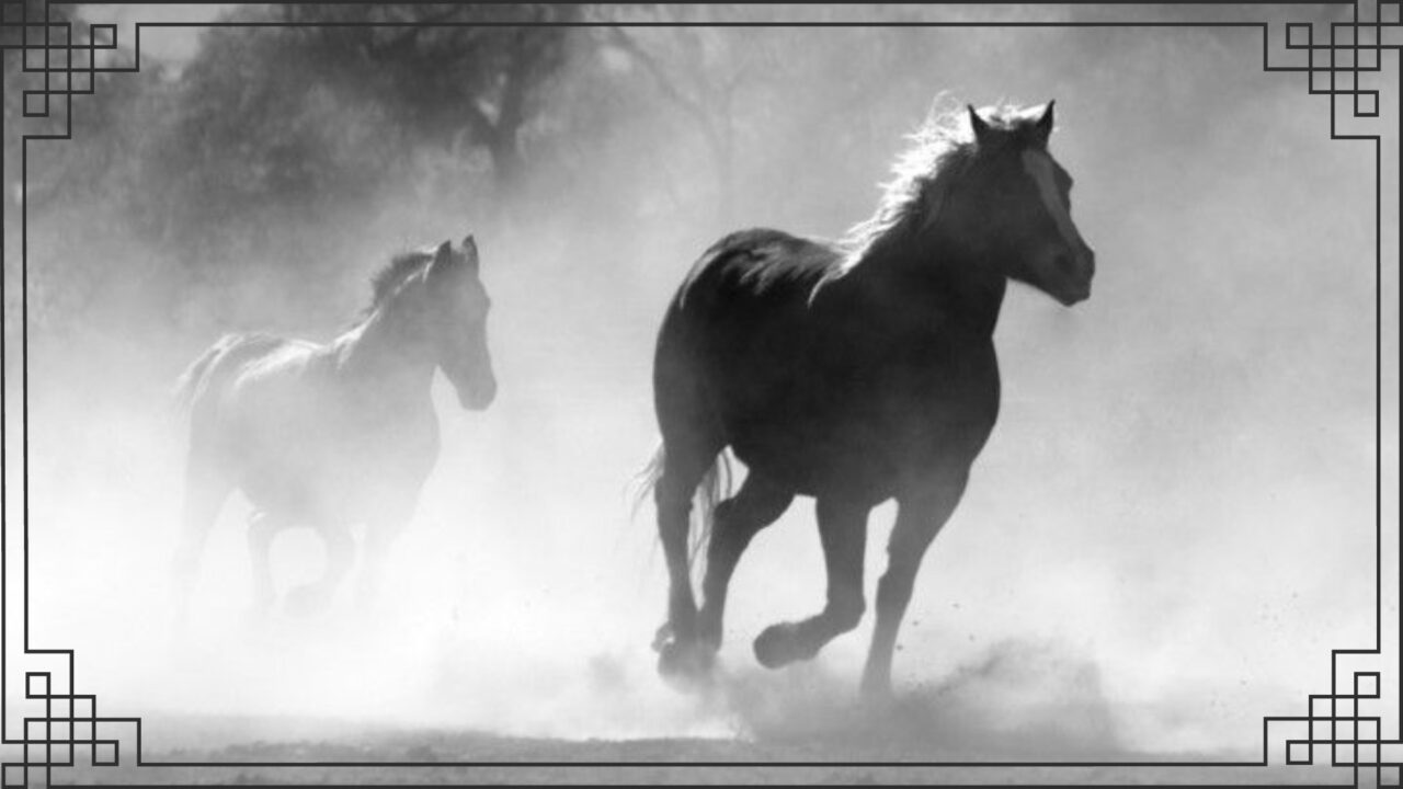 千里の馬も蹴躓く の意味とは 使い方 類義語 対義語 英文を優しく徹底解説 ことわざのナルゾウ