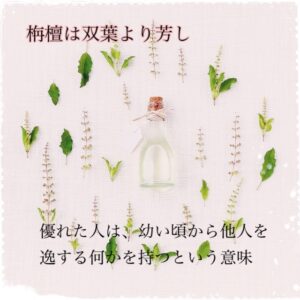 栴檀は双葉より芳し