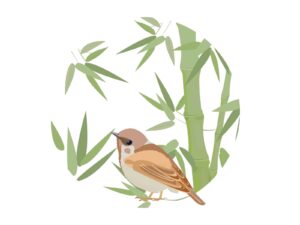 竹に雀