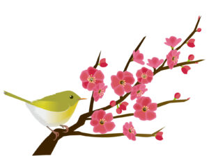 梅に鶯