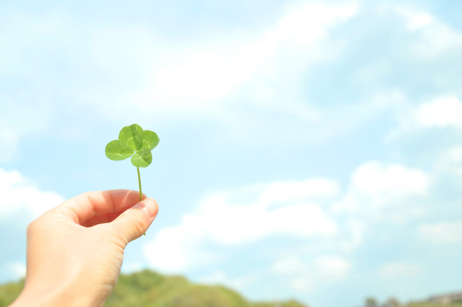 足るを知る者は富む（たるをしるものはとむ）とは？意味や使い方を徹底解説！ | ことわざのナルゾウ