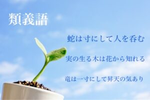 類義語