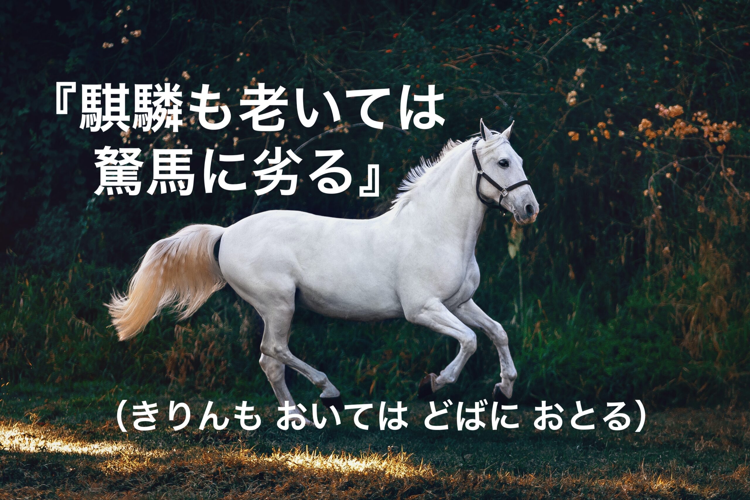 劣る