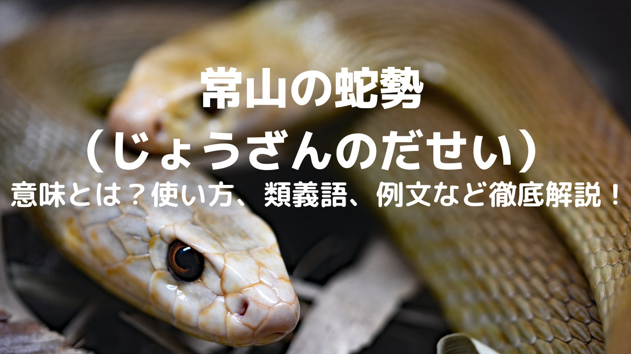 常山の蛇勢 じょうざんのだせい の意味とは 使い方 類義語 例文など徹底解説 ことわざのナルゾウ