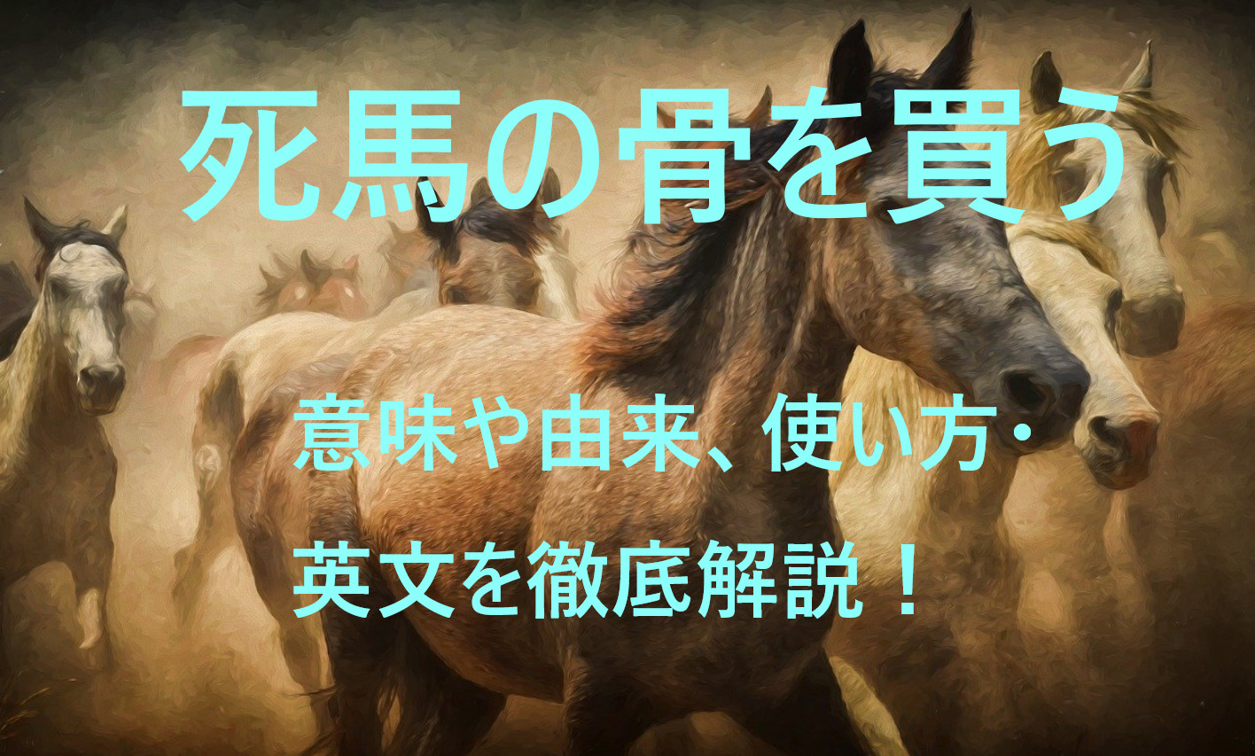 死馬の骨を買うとは?意味や由来、使い方・英文を徹底解説! | ことわざのナルゾウ
