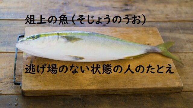 俎上の魚_まな板の上の魚