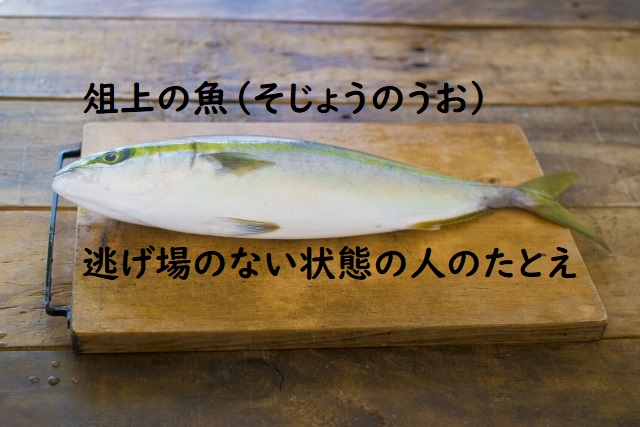 俎上の魚_まな板の上の魚