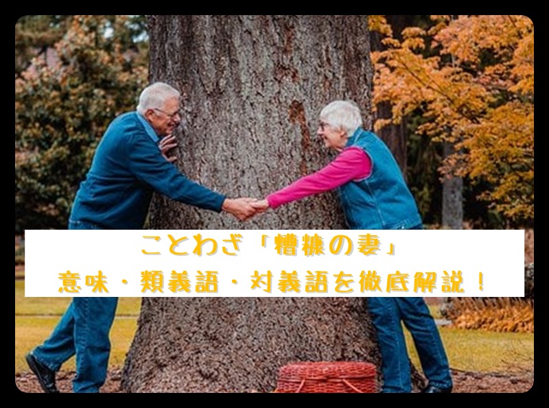 そ行 ことわざのナルゾウ