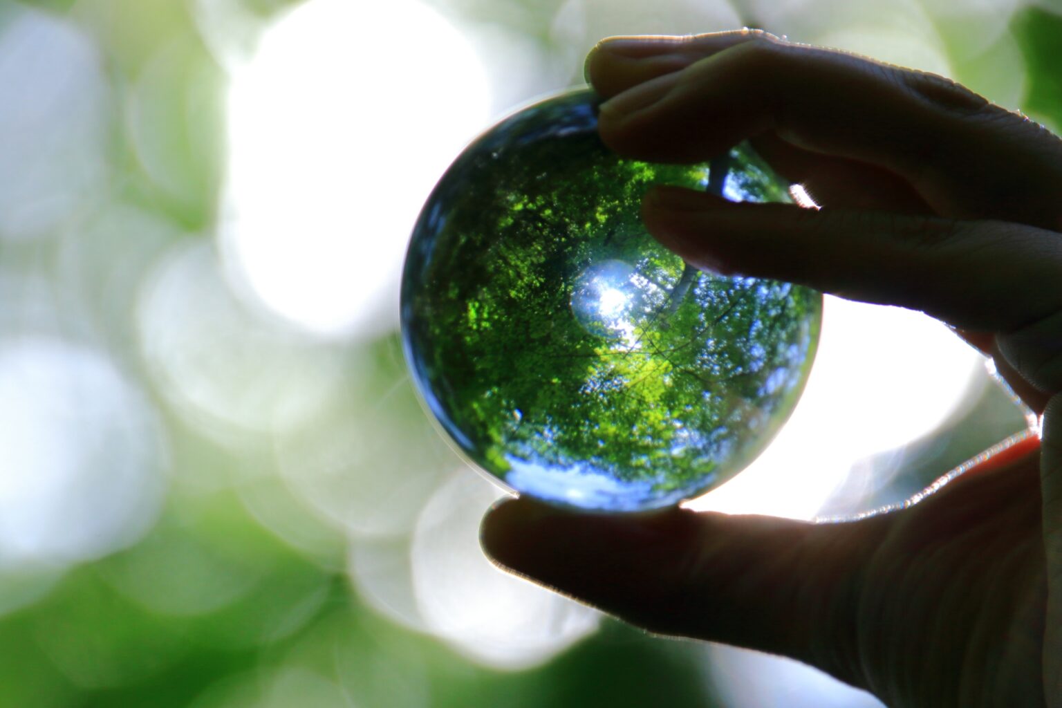 「天知る地知る我知る人知る」の意味とは？覚えやすいことわざの例文や類義語を解説！ | ことわざのナルゾウ