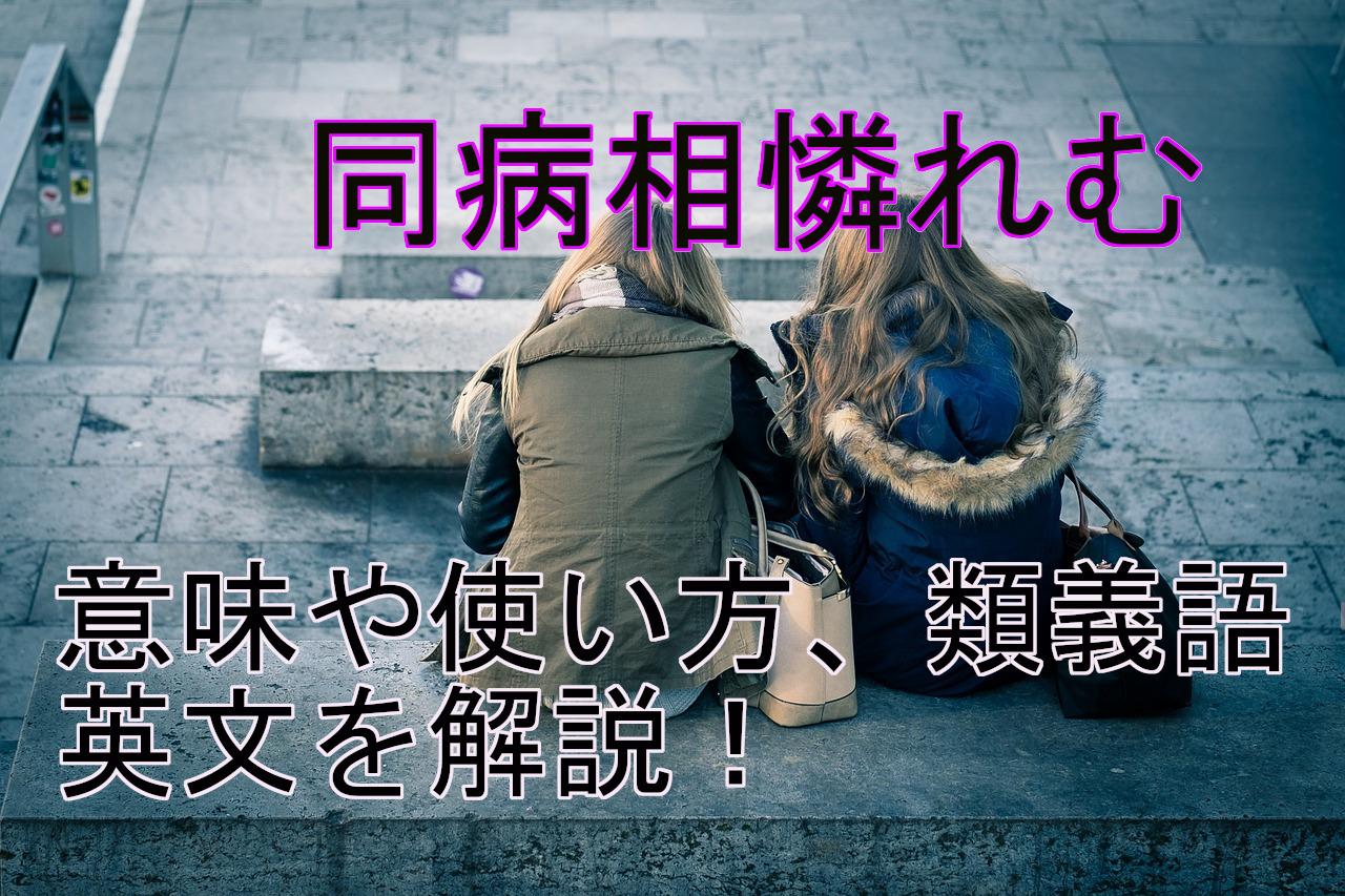 同病相憐れむ