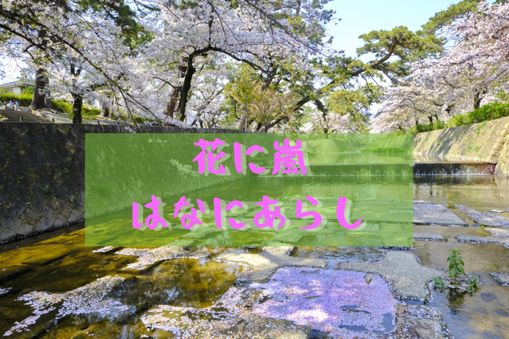 花に嵐 はなにあらし とは 意味 使い方 英文訳など徹底解説 ことわざのナルゾウ