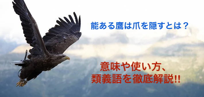 能ある鷹は爪を隠すの意味とは 使い方や例文を徹底解説 ことわざのナルゾウ