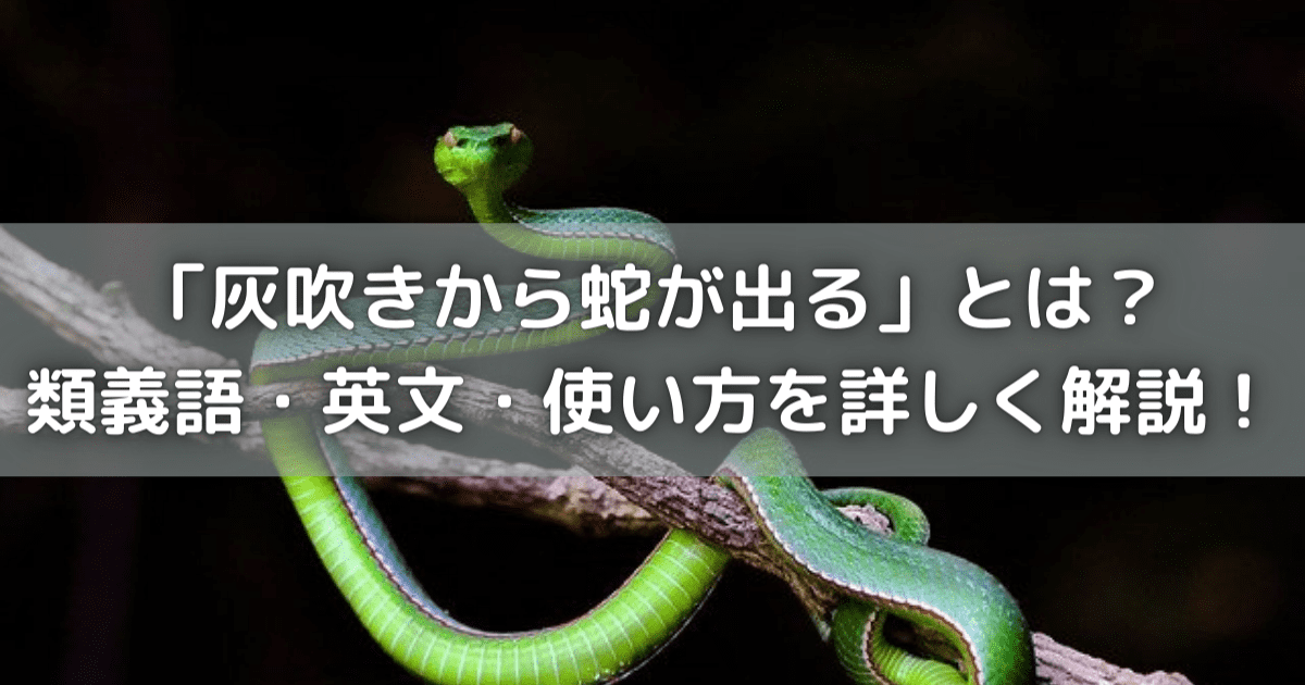 「灰吹きから蛇が出る」とは？類義語・英文・使い方を詳しく解説！