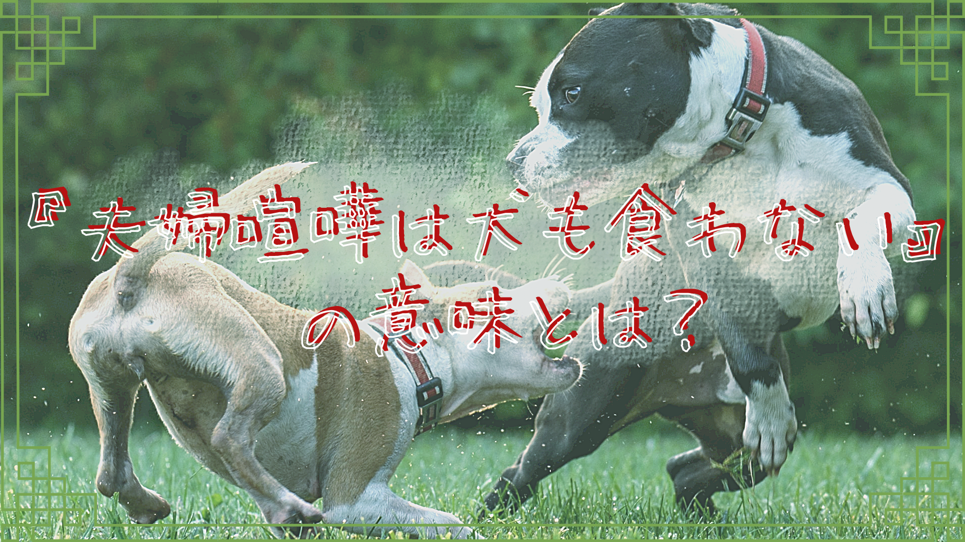 夫婦喧嘩は犬も食わない の意味とは 使い方 類義語 英文を優しく徹底解説 ことわざのナルゾウ